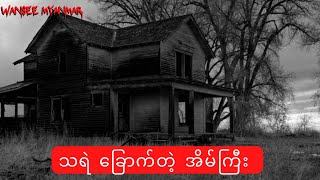 သရဲ ခြောက်တဲ့ အိမ်ကြီး horrorstories horror horrormovie လူသားပေါက်စီတရုတ်ကား [upl. by Imac]