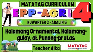 MATATAG EPP AGRI 4 Grade 4 Kuwarter 2 Aralin 5 Halamang Ornamental Halamanggulay at Punongprutas [upl. by Datha]