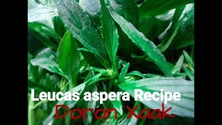 Doron Xaak  Leucas aspera  Healthy Recipe [upl. by Vareck86]