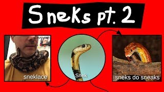 Internet Names for Snakes  Part 2 [upl. by Romalda592]