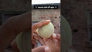 off spin 🥎 shorts offspin shortsfeed tennisball youtubeshorts shortvideo [upl. by Armillia790]