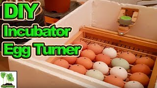 Home Made Poultry Hen Duck Incubator with Automatic Egg Turner [upl. by Olfe]