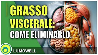 Grasso Viscerale Come Eliminarlo [upl. by Norok]