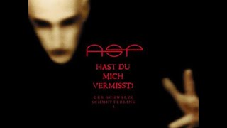 ASP Küss mich Lyrics  English Translation [upl. by Atiuqiram]