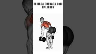 remada curvada com halteres [upl. by Senhauser544]