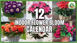 12 Indoor Flower Plants That Bloom According to 12 Months  Flower Bloom Calendar PlantandPlanting [upl. by Phare]