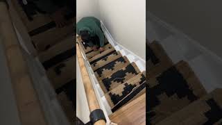 Stylish Carpet Runners  Enhance Your Hallways and Stairs [upl. by Dirraj125]