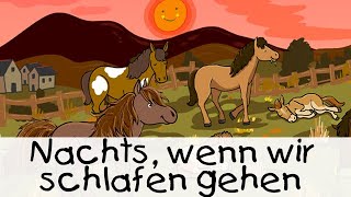 😴 Nachts wenn wir schlafen gehen  Geschichten für Kinder [upl. by Katerine]