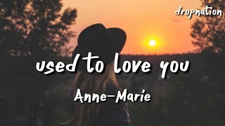 AnneMarie  Used To Love You Lyrics [upl. by Plossl]