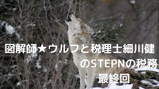 2022 10 22 STEPNの税務／図解師★ウルフと税理士の細川 健（ほそかわ たけし）の対談（最終回） [upl. by Nrubloc]