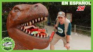 Museo de dinosaurios 🏛️🦖  Videos de dinosaurios y juguetes para niños [upl. by Lrad]