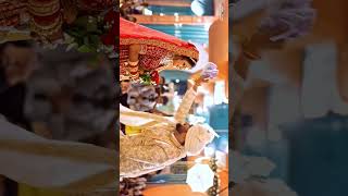 Best Wedding Cenematic Video  Kaveri Studio  wedding highlights 2024  Delhi [upl. by Radbourne]