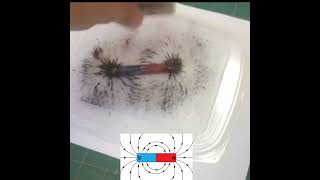 Magnetic Field Lines Experiment [upl. by Esenahs902]