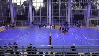 FINAL TORNEO VOLEIBOL FEMENINO FINALES 2024 [upl. by Ralat684]