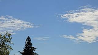 Sunny With Altocumulus Clouds System South Wind Breeze 137pm Oct 12 2024 [upl. by Smeaj]