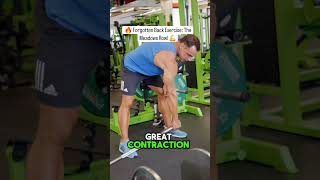 🔥 Forgotten Back Exercise The Meadows Row 💪 [upl. by Ayvid]