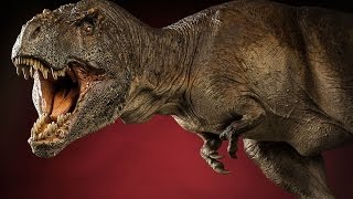 TYRANNOSAURUS REX  Sideshow Collectibles Dinosauria Unboxing [upl. by Stringer]