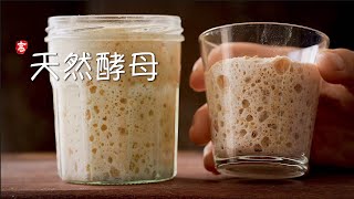 天然酵母 Sourdough Starter [upl. by Kendy241]