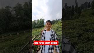 timi tarku South Sikkim viralvideo short trending [upl. by Carney508]