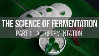 The Science of Fermentation Lactofermentation [upl. by Assila]