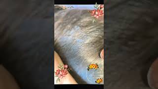 ASMR LICE REMOVE lice hairstyle liceremoval hairlice hair nomorelice haircut satisfying [upl. by Centonze371]