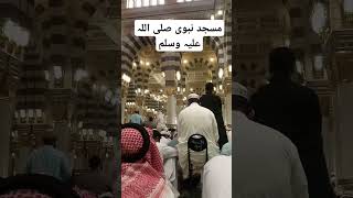 ٹوڈے نیو اسلامک ویڈیو😍 azan foryou love islamicarchitecture 10klikes [upl. by Estella78]