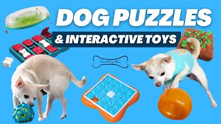 Best Interactive Dog Puzzles amp Toys for Mental Stimulation  Proud Dog Mom [upl. by Aneba]