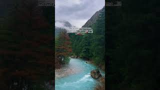 Maya Lu basane ta manai ma 🤭🫀 army dolpa music love upperdolpa [upl. by Ahsehyt]