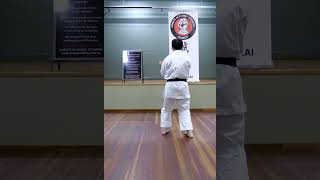 SANCHIN KATA GOJU RYU KARATE by Davy Wijaya Sensei [upl. by Enyaht]