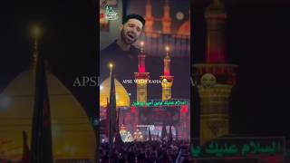 Aapse Wada Raha Aayenge Jab Karbala  Ali Shanawar Noha 🤲✈️ alishanawar noha karbala shorts [upl. by Sidalg86]