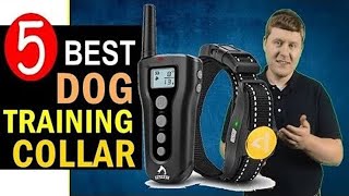 6 Tips for Anti Bark Collars for Dogs [upl. by Ozzy]