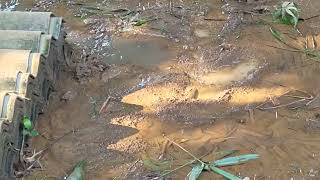 Village Life  Floods Effect in Village  DailyLife2U trending I viralvideo I reels [upl. by Aicirt]