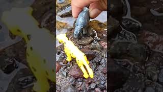 Wow all animal helps SNAKEHEAD FISH  SNAKEHEAD FISH shorts fish channa viralvideo [upl. by Demmer815]