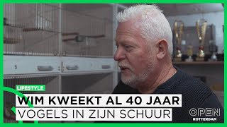 Wim kweekt al 43 jaar vogels in schuur ‘Concurrentie bij vereniging maakt het spannend’  LIFESTYLE [upl. by Sunda922]