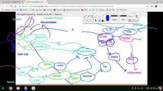 Microglia Lecture [upl. by Linnell213]