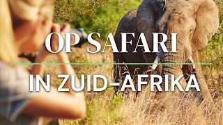 Op Safari in Zuid Afrika [upl. by Callum]