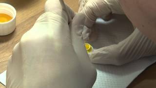 How to Make a Zirconia Crown [upl. by Janicki]