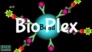 Bio Plex Assay  Bio Plex Technology  Magnetic BeadBased Assays  Multiplex Assay [upl. by Dolores478]