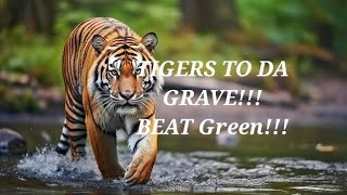 Massillon Tiger Football playoffs 2023 Beat Green hype [upl. by Dewayne]