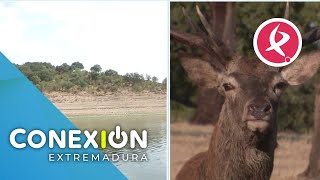 Nueva manera de disfrutar de la berrea En barco recorriendo el Tajo  Conexión Extremadura [upl. by Konrad678]