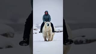 Urso polar é domesticado por esquimós polarbear [upl. by Asenev]