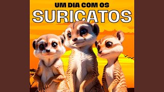 Um dia com os suricatos o mundo animal selvagem do suricato [upl. by Handbook]