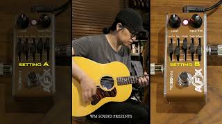 Fishman AFX Pro EQ pedal AB test 피쉬맨 AFX이큐페달 AB테스트 [upl. by Trebled]