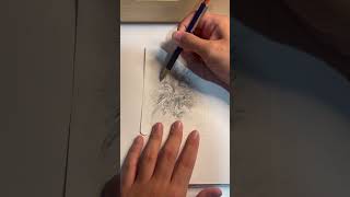 Drawing a cyclamen flower art flowers [upl. by Mannes]