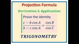 Projection Formula 90 Students Do Not Understand Trigonometry Grade 12 [upl. by Peacock]