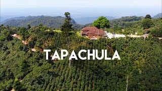 Tapachula Tuxtla Chico y la Ruta del Café en Chiapas  La puerta al Soconusco [upl. by Rusel]