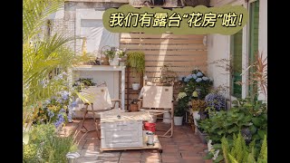 露台花园改造3｜花300改造了一个“花房”！低成本露台改造，露台花园植物推荐｜花园防蚊｜租房改造 [upl. by Ellora]