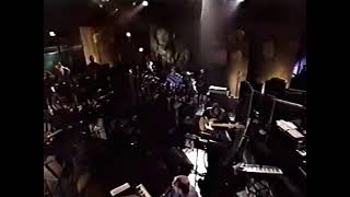 Steely Dan “FM no static at all” raw footage Plush TV jazzrock party [upl. by Saleem272]