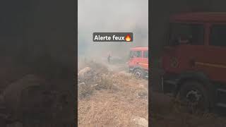 🔴نشوب حريق في أعالي غابات أوزلاقن في هذه الأثناء 🔥Alerte feux à ifri ouzellaguen Bejaia [upl. by Aicac]