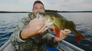 Angel in Schweden Lake Runn Barsch amp Hecht Fun Fishing [upl. by Compte44]